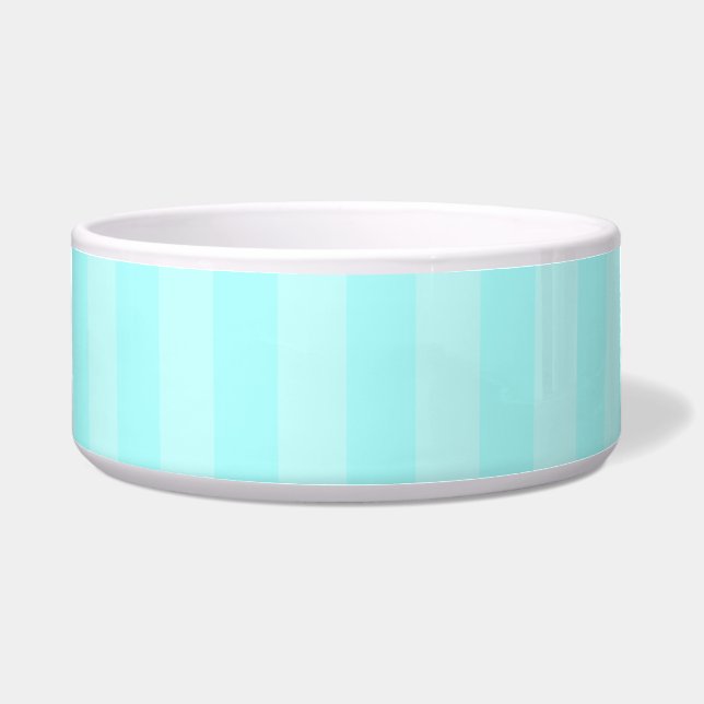 Aqua Stripes Pet Bowls (Front)