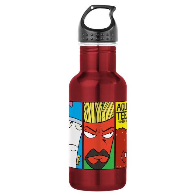 Aqua Teen Hunger Force Character Panel Graphic 532 Ml Water Bottle (Front)