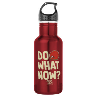 Aqua Teen Hunger Force Meatwad "Do What Now?" 532 Ml Water Bottle