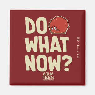 Aqua Teen Hunger Force Meatwad "Do What Now?" Magnet