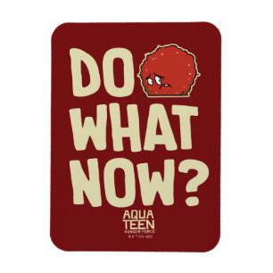 Aqua Teen Hunger Force Meatwad "Do What Now?" Magnet