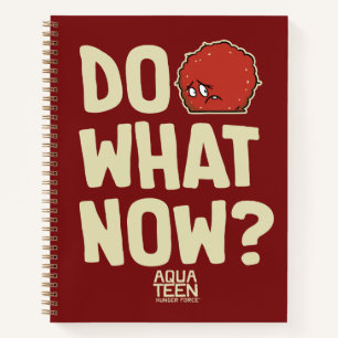 Aqua Teen Hunger Force Meatwad "Do What Now?" Notebook