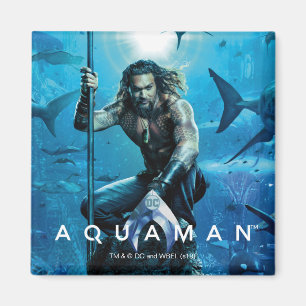 Aquaman Prince Orin With Aquatic Animals Magnet