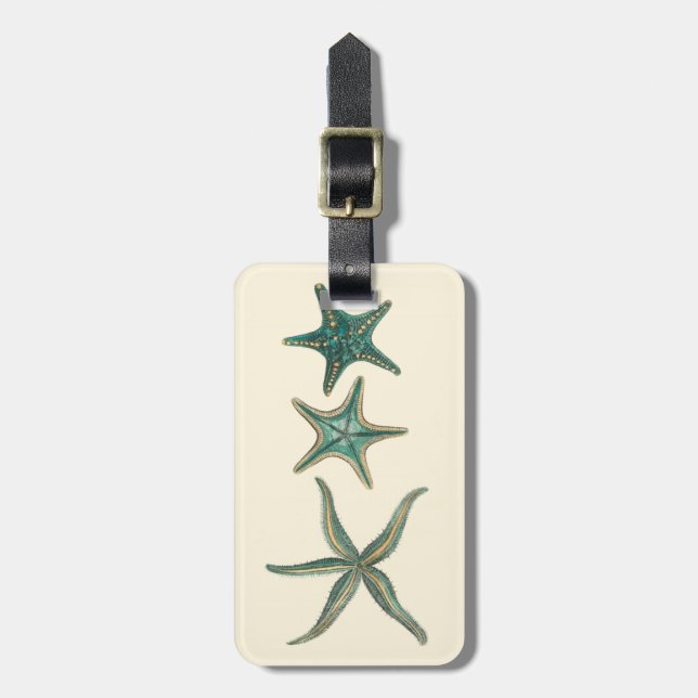 Aquamarine Triple Starfish Luggage Tag (Front Vertical)