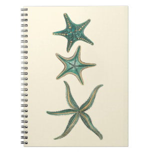 Aquamarine Triple Starfish Notebook