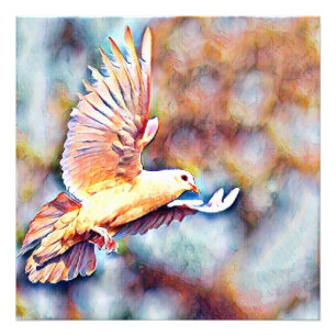 aquarell dove photo print