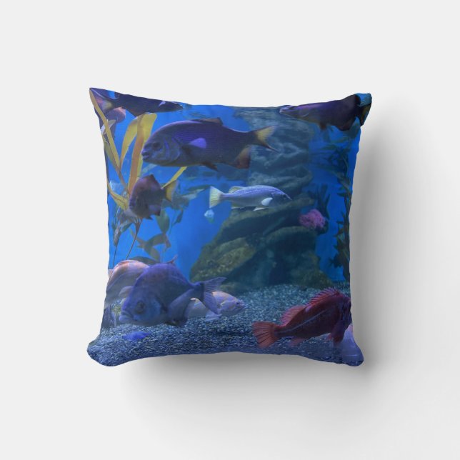 aquarium cushion (Front)