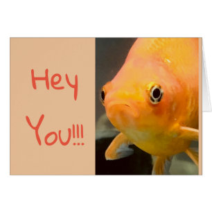 Aquarium cute card