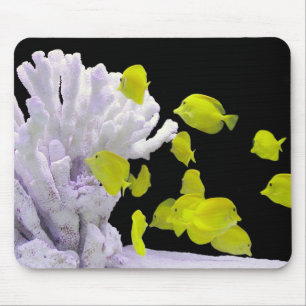 Aquarium mouse pad