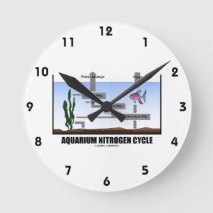Aquarium Nitrogen Cycle (Ecology) Round Clock