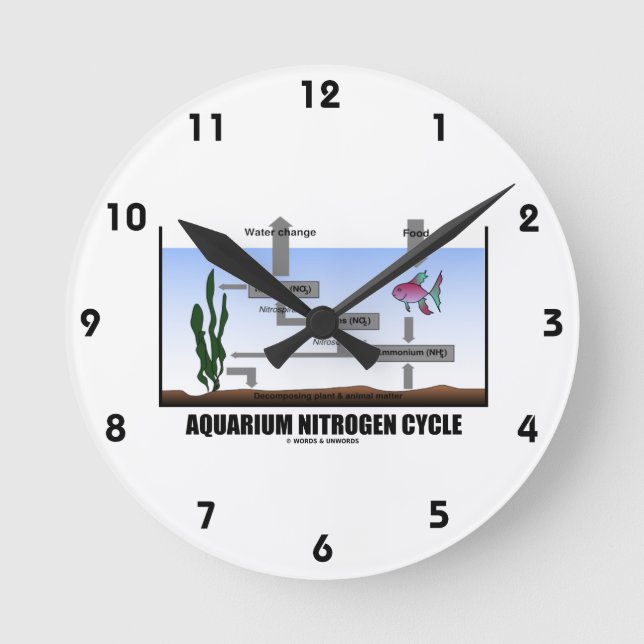 Aquarium Nitrogen Cycle (Ecology) Round Clock (Front)