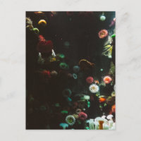 Aquarium of Canada, Toronto, Canada