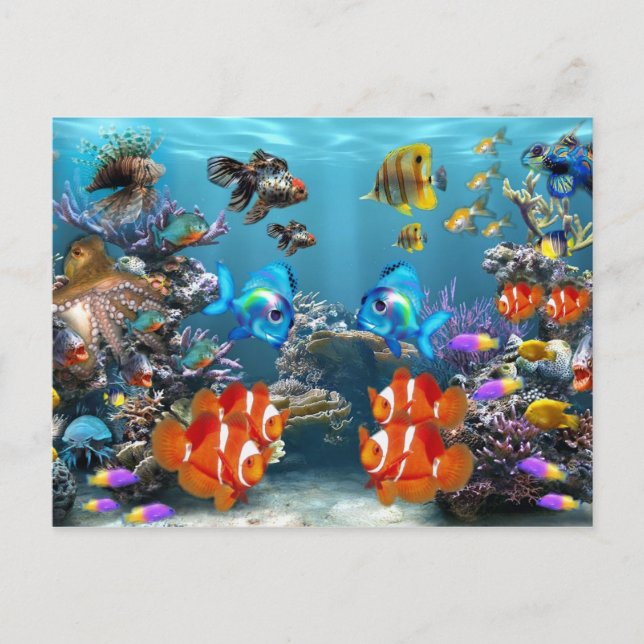 Aquarium Sealife Style Postcard (Front)