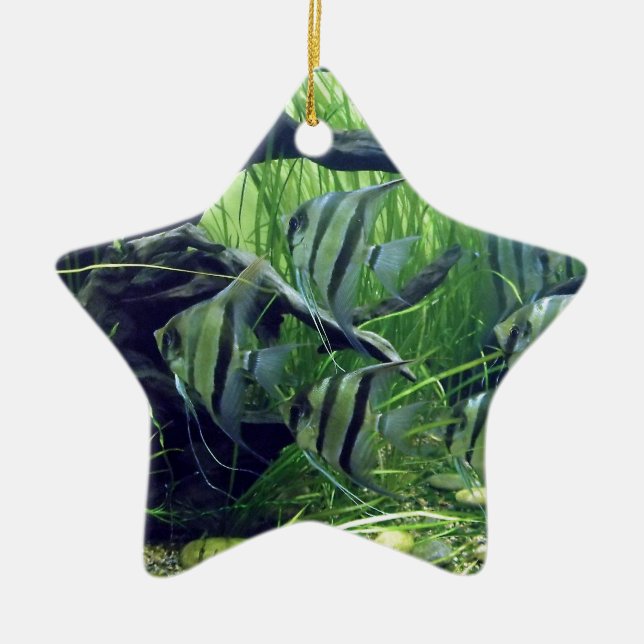 Aquarium Striped Fish Ceramic Ornament (Front)