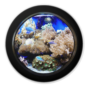 Aquarium Tropical fish and coral  Ceramic Knob