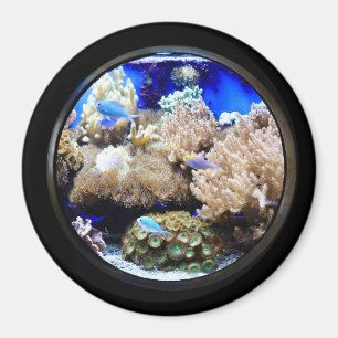 Aquarium Tropical fish and coral Magnet