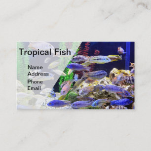 Aquarium with beautiful colourful tropical fish business card