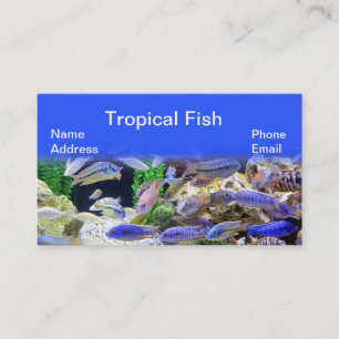 Aquarium with beautiful colourful tropical fish business card