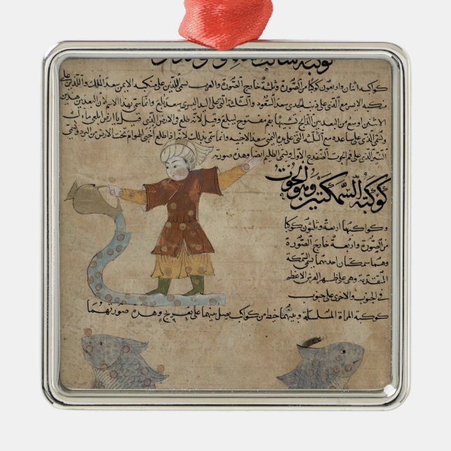 Aquarius and Pisces Metal Ornament (Front)