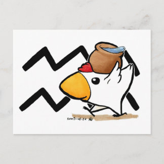 Aquarius Chicken Postcard
