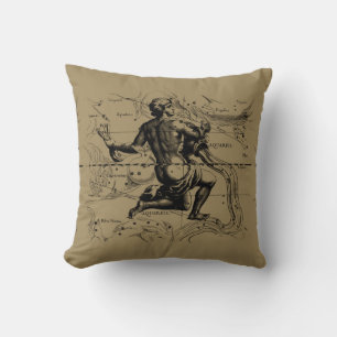 Aquarius Constellation Hevelius 1690 Engraving Cushion