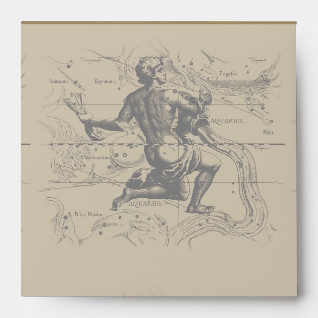 Aquarius Constellation Map Hevelius 1690 on Taupe Envelope (Front)