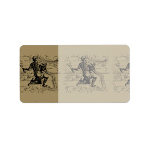 Aquarius Constellation Map Hevelius 1690 on Taupe Label