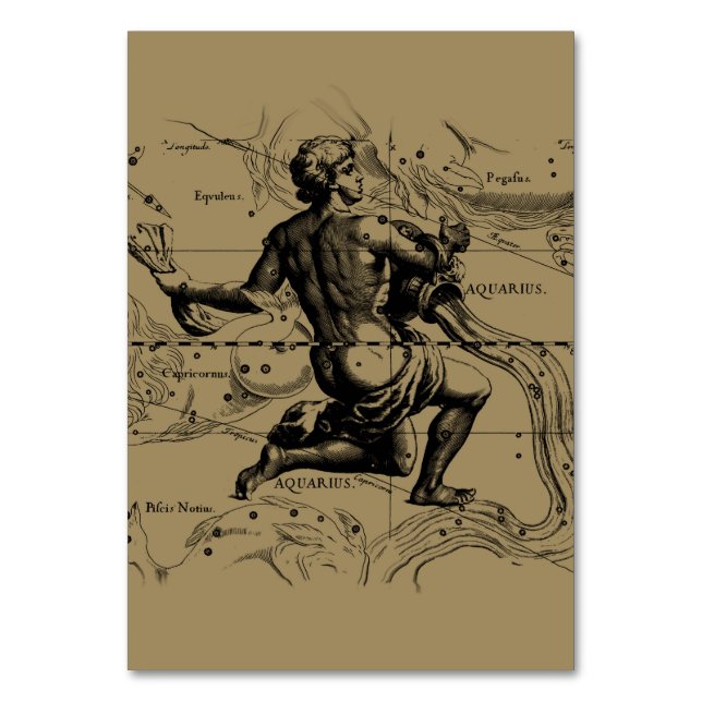 Aquarius Constellation Map Hevelius 1690 on Taupe Table Number (Front)