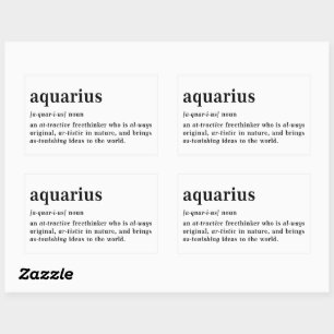 Aquarius Definition Aesthetic Astrology Gift Rectangular Sticker