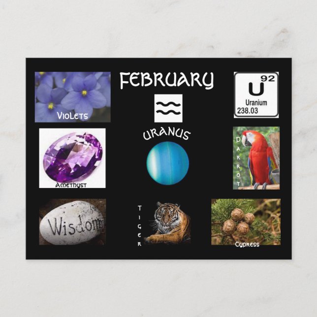 Aquarius february  Birth Month Postcard (Front)