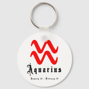 Aquarius, January 20 - February 18 Key Ring