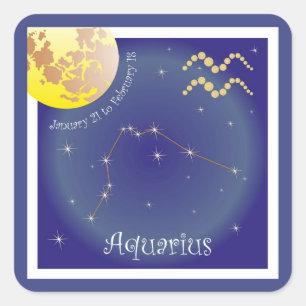 Aquarius January 21 to February 18 Sticker