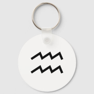 Aquarius Key Ring