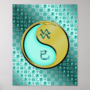 Aquarius & Metal Snake Poster