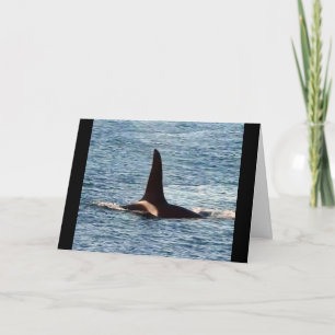 Aquarius Orca Customisable West Coast Killer Whale Card