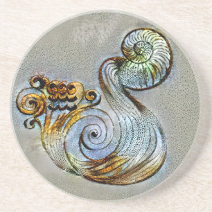 Aquarius Venice Coaster