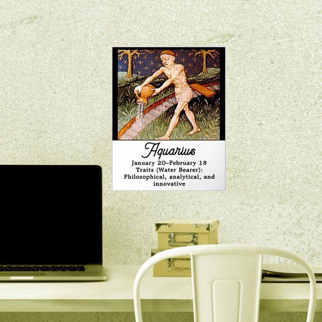 Aquarius Water Bearer Zodiac Sign Birthday Party (Creator Uploaded)