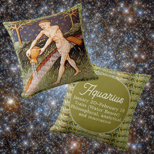 Aquarius Water Bearer Zodiac Sign Birthday Party Cushion