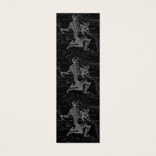 Aquarius Zodiac Constellation Hevelius 1690