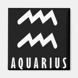 Aquarius zodiac sign magnet