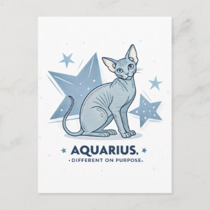 Aquarius Zodiac Sphynx Cat Different Purpose Art Postcard