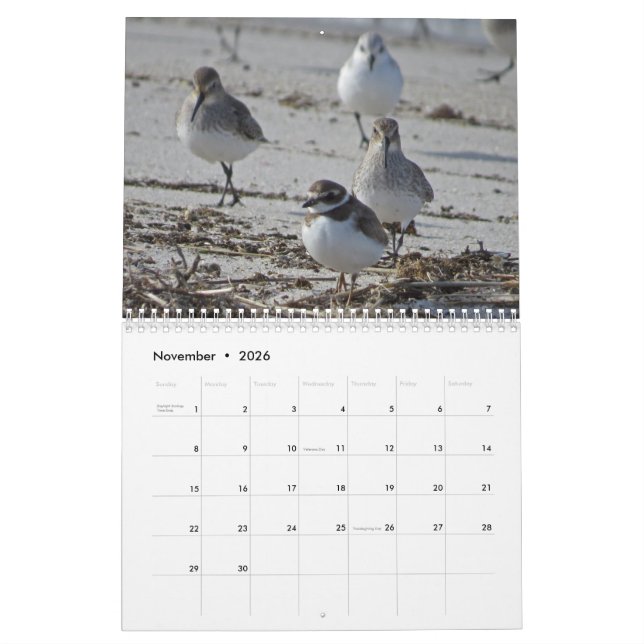 Aquatic Birds Calendar (Nov 2026)