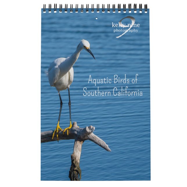 Aquatic Birds of Southern California by Kelly Nine Calendar (Cover)