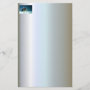 Aquatic Fish Carassius Stationery