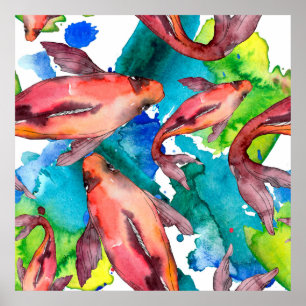 Aquatic fish set. Red sea and exotic fishes inside Poster