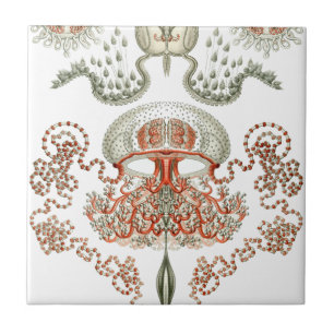 Aquatic Life ~ Haeckel ~ Jellyfish Ceramics Ceramic Tile