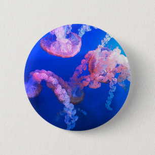 Aquatic Nautical Photos Marine Animal Photography 6 Cm Round Badge