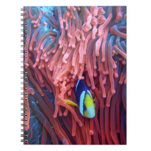 Aquatic Nautical Photos Marine Animal Photography Notebook