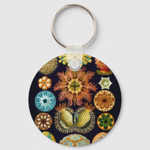 Aquatic Sealife Ernst Haeckel Ascidiae A01 Key Ring
