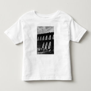 Aqueduct at Rio Toddler T-Shirt